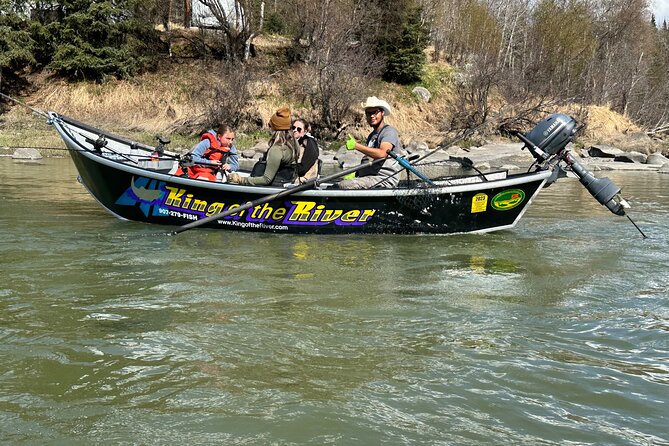 Half day Alaska Salmon Fishing on the Kenai Peninsula - Wildlife moments: bald eagles are part of the deal