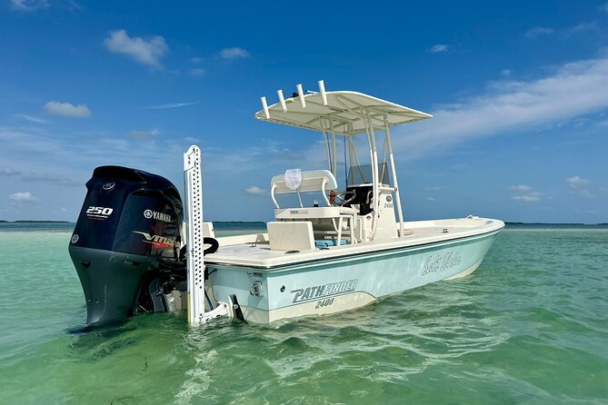 Half-Day Backcountry Fishing Charter from Key West - Your Four-Hour Charter Plan from 5950 Peninsular Ave