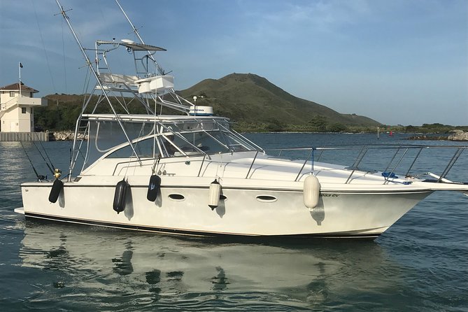 Half Day Big Game Fishing private charter - Getting from your hotel to the port without guessing