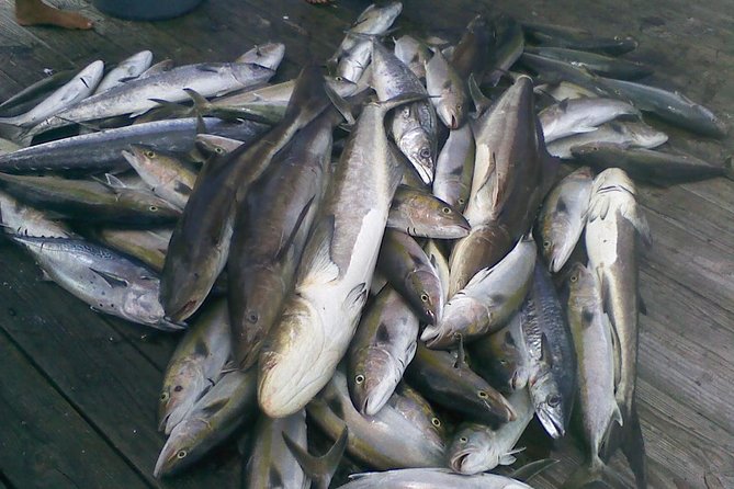 Half-Day Deep-Sea Fishing at Riviera Beach - Catch, Cleaning, and Filleting: What You Bring Home