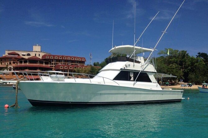 Half-Day Deep Sea Fishing Excursion Departing sosua - Price and Value at $130: When It’s a Good Deal (and When It Isn’t)