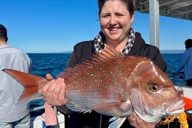 Half-Day Deep Sea Fishing in Wollongong - Weekdays only - What you might catch: a real species mix