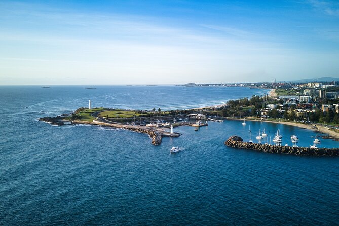 Half-Day Deep Sea Fishing in Wollongong - Weekdays only - Wildlife moments: whales, gulls, and pelicans