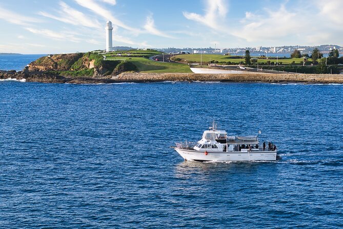Half-Day Deep Sea Fishing in Wollongong - Weekdays only - The boat: what being on a 60ft Conquest changes