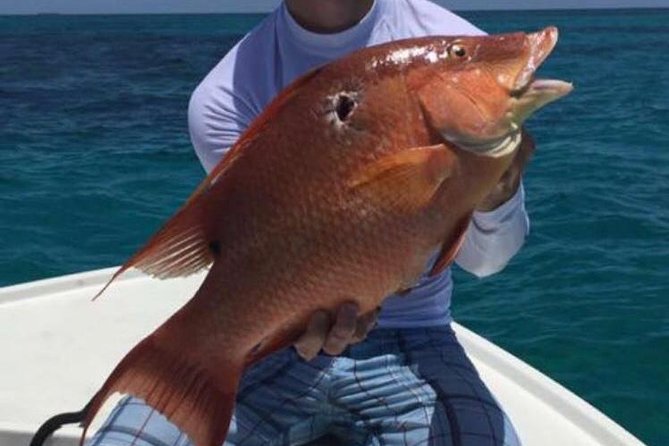 Half day Deep sea/light tackle fishing charters - What You Get for $920: Private Value Math for Up to Four