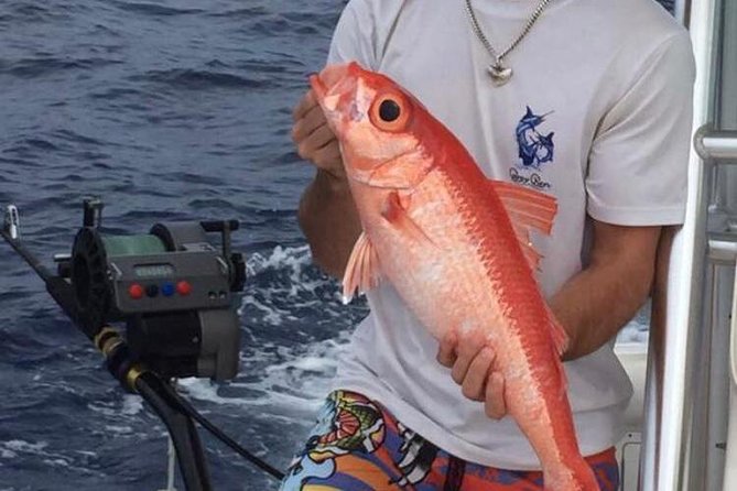 Half day Deep sea/light tackle fishing charters - Timing and Meeting Point: Baoilco Limited on Bay Street