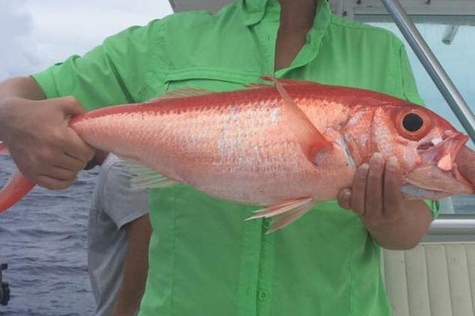 Half day Deep sea/light tackle fishing charters - Gear and Bait Included: Less Shopping, More Fishing Time