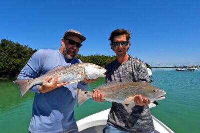 Half day fishing Charter in St. Petersburg Florida - Snook, tarpon, redfish, sea trout: what you’re targeting