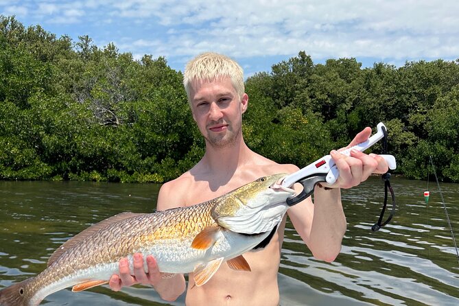 Half day fishing Charter in St. Petersburg Florida - Tampa Bay scenery: dolphins, birds, manatees, and nature stops