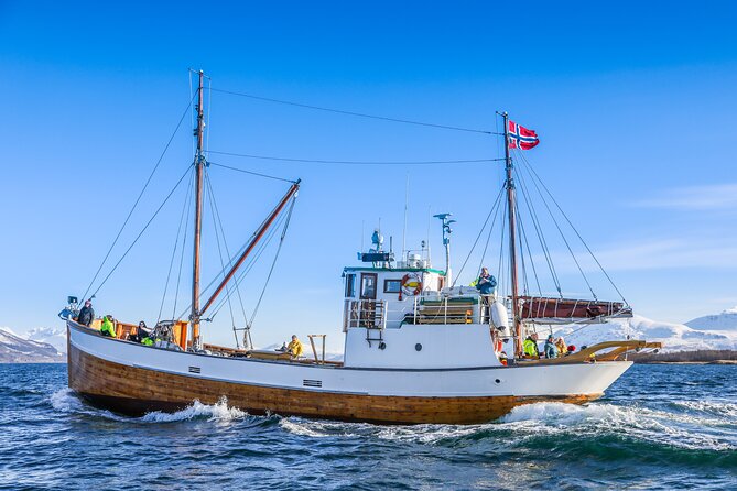 Half-Day Fishing & Fjord Cruise Adventure from Tromsø in Norway - Warm Gear, Heated Comfort, and a Boat You Can Actually Enjoy