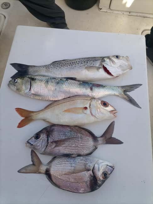 Half Day Fishing Trip - Key Points You Should Know Before You Go