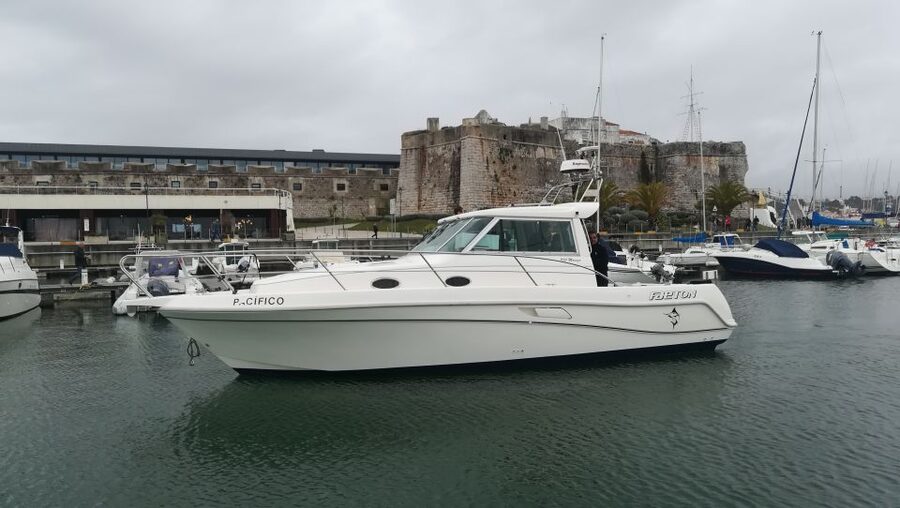 Half Day Fishing Trip - Price and Value: Is $90 Worth Three Hours on the Water?