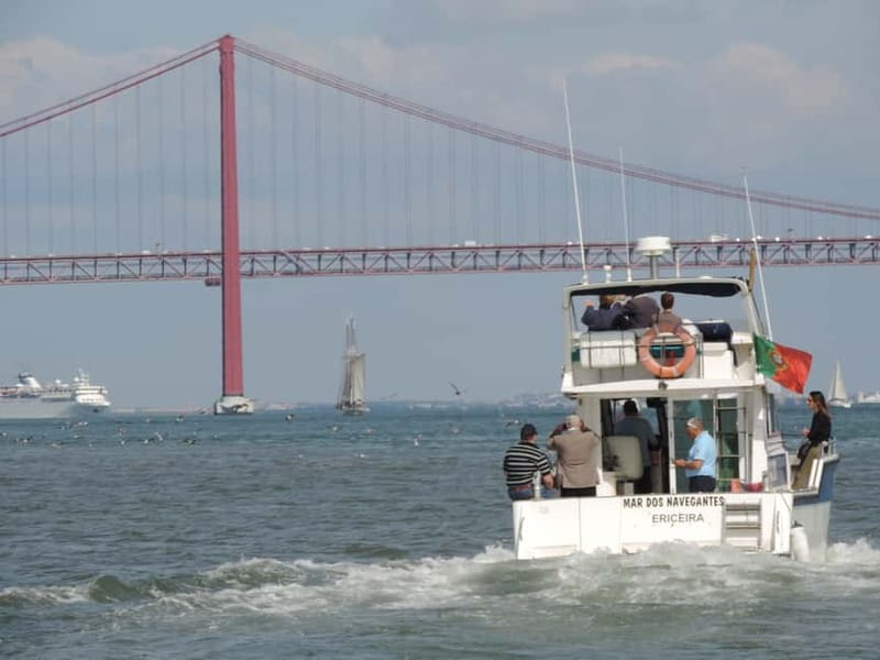 Half Day Fishing Trip - Who This Trip Suits Best (And Who Should Skip It)