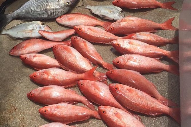 Half-Day Fishing Trip in Fort Lauderdale - The 4-Hour Flow: How Your Time on the Water Feels