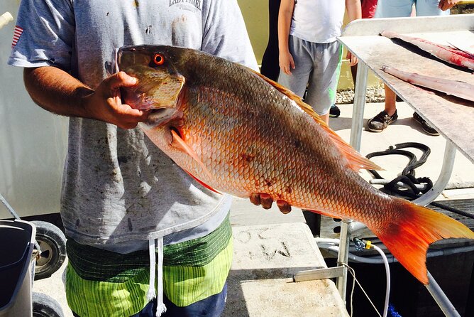 Half-Day Fishing Trip in Fort Lauderdale - What You Can Catch (and Why It Might Not Be a Trophy Day)