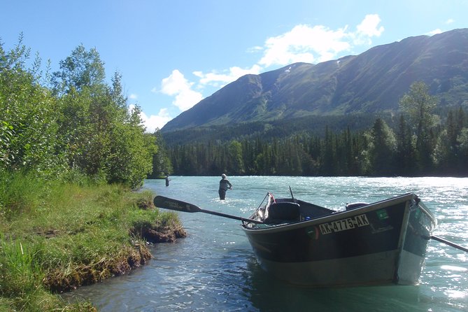 Half-Day Fishing Trip on the Kenai River - Cooper Landing to the Kenai wildlife spots: what each stop feels like