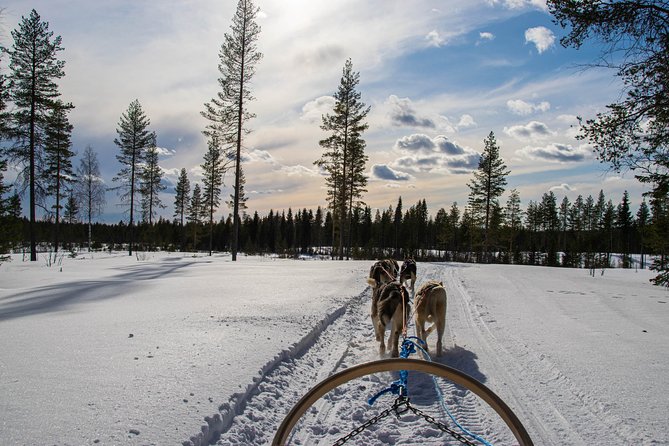 Half-Day Husky Safari and Salmon Ice Fishing Experience - What to Expect During the Fishing Time