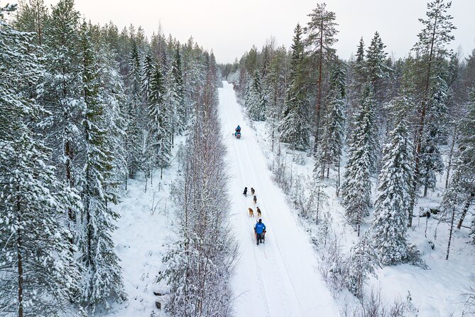 Half-Day Husky Safari and Salmon Ice Fishing Experience - The Kota Snack Stop: Warmth Plus Finnish Stories