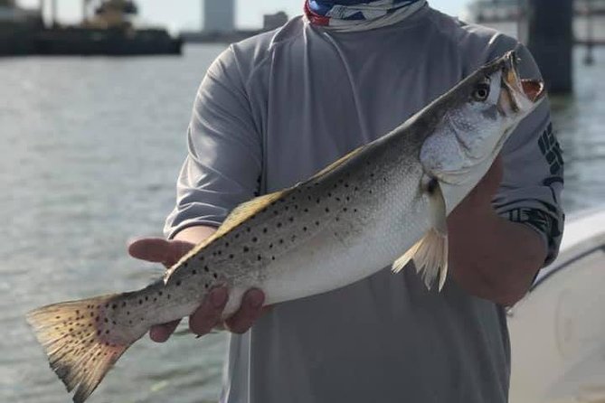 Half-Day Jetty Fishing Trip from Galveston - Is This Worth It for Your Galveston Trip?