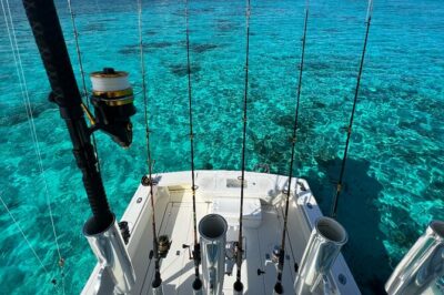 Half Day Luxury Private Fishing Charters in Cayman Islands - Reef fishing in North Sound: Barracuda, Snapper, Jacks, Trigger Fish
