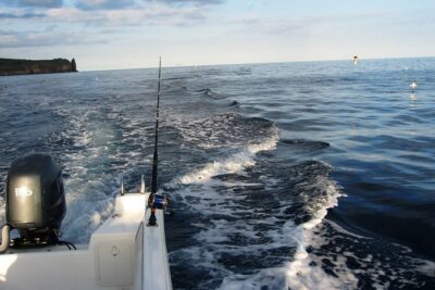 Half-Day Private Coastal Fishing Escape - From Marina Briefing to Sea Time: How the 4 hours actually feel