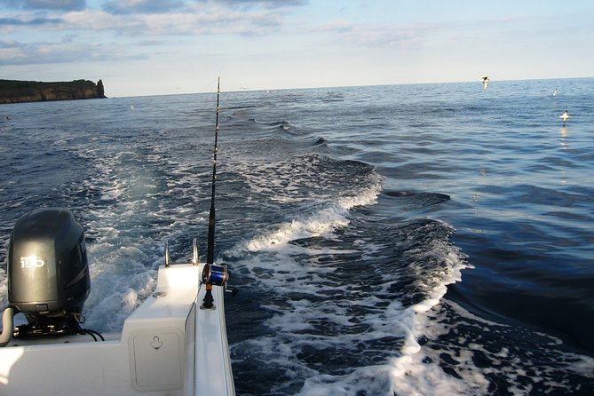 Half-Day Private Coastal Fishing Escape - From Marina Briefing to Sea Time: How the 4 hours actually feel