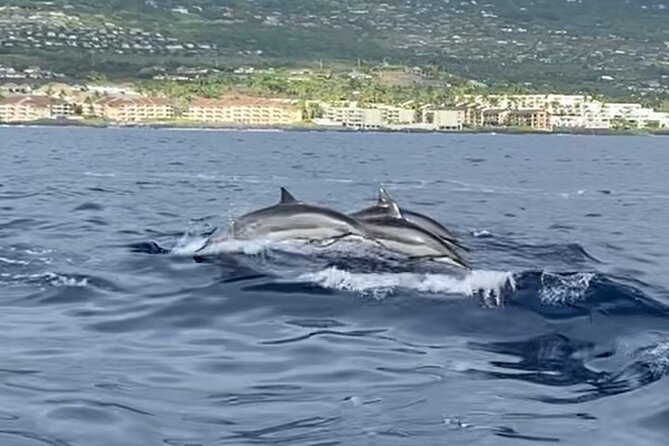 Half Day Private Cruise Tour with Snorkeling and Fishing in Kona - Quick Tips to Get the Best Out of Your Trip