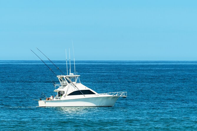Half-Day Private Fishing Experience in Alanya - Lunch and the catch of the day: what’s included (and what isn’t)