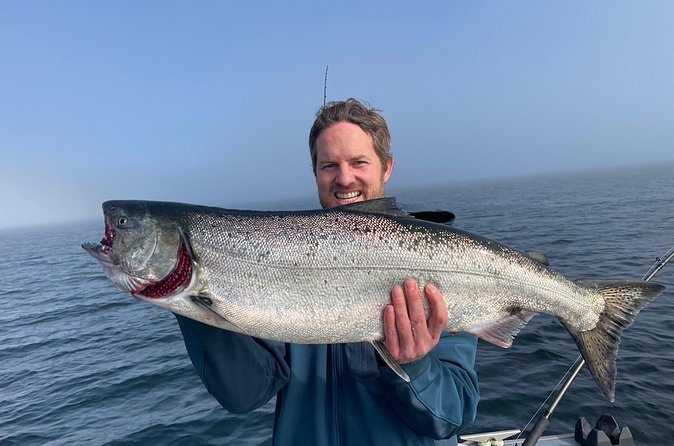 Half-Day Private Salmon Fishing in Ketchikan - Wildlife and scenery breaks that don’t steal your focus