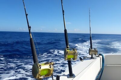 Half Day Sport Fishing Excursion Departing from Sosua - Why This Half-Day Fishing Works So Well