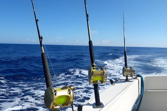 Half Day Sport Fishing Excursion Departing from Sosua - Why This Half-Day Fishing Works So Well