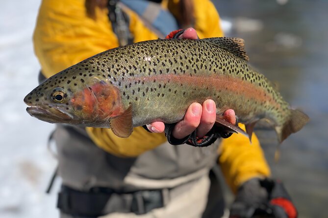 Half Day Walk and Wade Fly Fishing Trip - Key things to know before you go