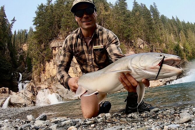 Half Day Walk&Wade (Fly-Fishing / Spin Casting from shore) - Key highlights to know before you go