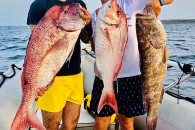 Half-seabed or rod fishing tour with bolentino - Price and value: what $1,083.70 buys your group