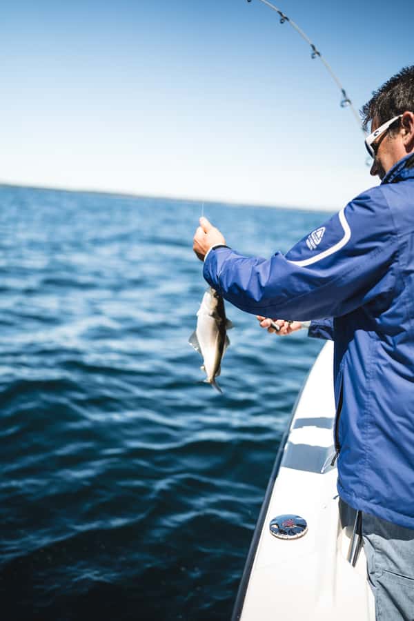 Halifax: 2-Hour Deep Sea Fishing Tour - Price and value: is $99 fair for a guided deep sea fishing trip?