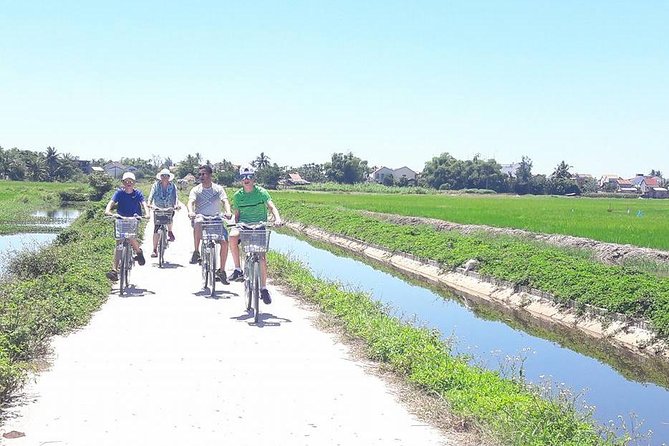 Hoi An Countryside Biking Tour(Vegetable village -basket boat - fishing village) - Cycling past shrimp farms, rice fields, and friendly farm animals