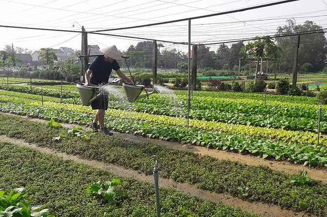 Hoi An Countryside Biking Tour(Vegetable village -basket boat - fishing village) - Price and what you’re really paying for (US$45 per person)