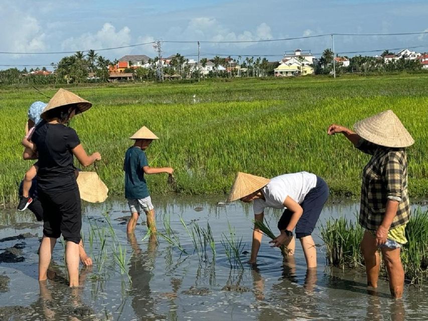 Hoi An:Cycling,Traditional Farming & Fishing Life Experience - Why Cẩm Thanh (Not Old Town) is the real Vietnam