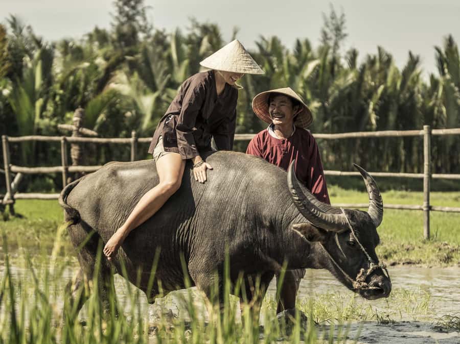 Hoi An : Eco Bicycle Tour with Fishing and Lunch/Dinner - Key points to know before you go