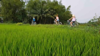 Hoi An : Eco Bicycle Tour with Fishing and Lunch/Dinner - Rice fields and buffalo: understanding farmland from the saddle
