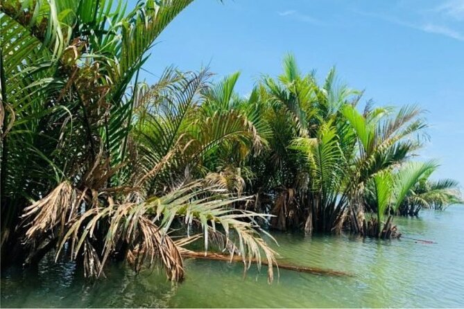 Hoi An Farming And Fishing Life - Tra Que Vegetable Village: Plant, Water, and Hoe the Soil