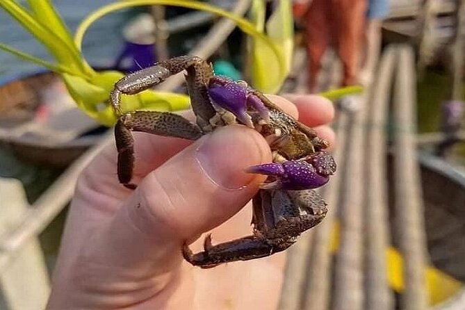 Hoi An Fishing Tour Private-Lantern /Cafe Making Class by Lunch - Key things to know before you go