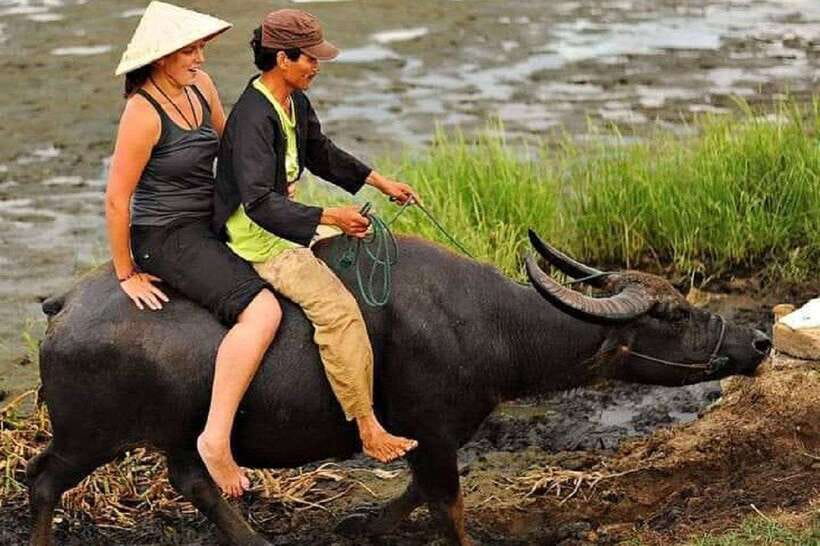Hoi An Wet Rice Farming Tour-Basket Boat Tour Fishing-Lunch - Key things you’ll notice right away