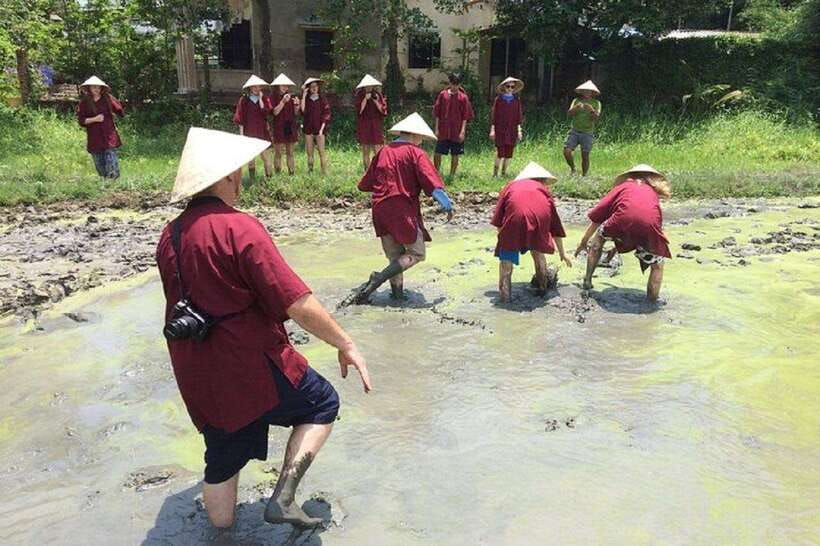 Hoi An Wet Rice Farming Tour-Basket Boat Tour Fishing-Lunch - Entering Cam Thanh Village: where rice fields turn into a playground