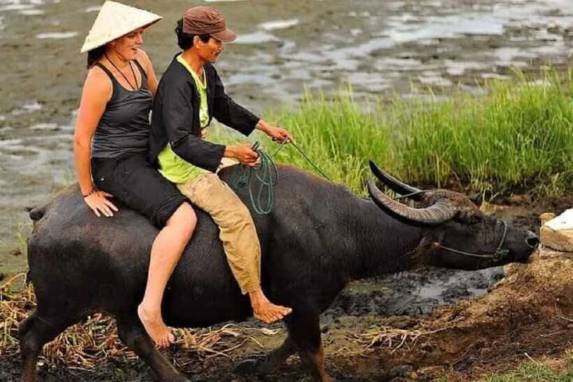 Hoi An Wet Rice Farming Tour-Basket Boat Tour Fishing-Lunch - Lunch noodles and Vietnamese ice coffee: the payoff that keeps you going