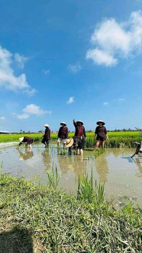 Hoi An Wet Rice Farming Tour-Basket Boat Tour Fishing-Lunch - Wet rice farming: seeding, planting, and the tools that matter