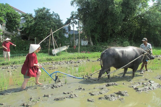 Hoi An Wet Rice Farming Tour Private Round Boat Fishing & Lunch - Buffalo Riding Time: Short, Real, and Repeatable