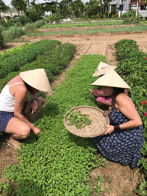 Hoian/Da Nang: Fishing, basket riding and cooking class - A 3-in-1 half day: market, nets, and lunch you help cook
