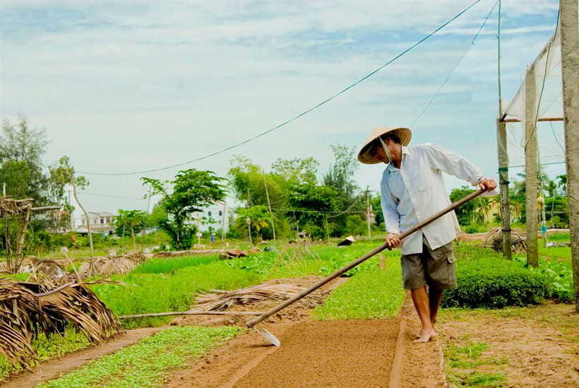 Hoian/Da Nang: Fishing, basket riding and cooking class - Should you book this fishing, basket boat, and cooking class?