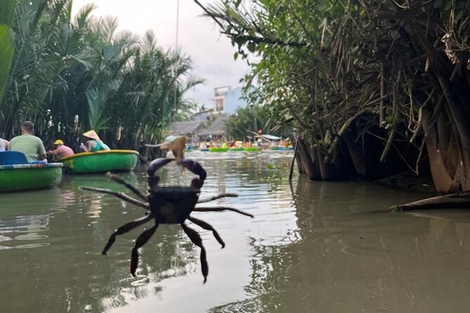 HoiAn:Making Lantern & Cooking Class-BasketBoat Ride,Crab fishing - Transfers, group size, and timing: is it worth $33.99?